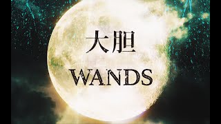 WANDS「大胆」 MV [upl. by Lleret78]