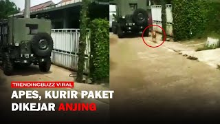 Mau Antar Barang Kurir Paket Malah Dikejar Anjing Pemilik Rumah [upl. by Nrublim830]