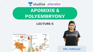 Phoenix 20 Biology Most Important Video for NEET 2025  Udaan [upl. by Ignatia741]