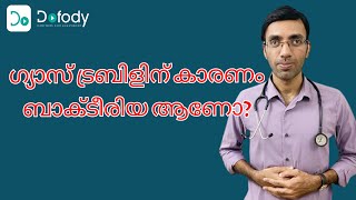 എച്ച് പൈലോറി എന്താണ് 🔬 Dont Wait for the Symptoms to Do the H pylori Tests 🩺 Malayalam [upl. by Hanley196]