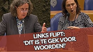 PVVminister Faber laat partij Timmermans FLIPPEN amp SCHREEUWEN wegens ANTIIMMIGRATIE voorstellen [upl. by Eckart898]