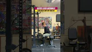 Seated Good Mornings lowback hips strengthtraining garagegym backday [upl. by Nilats]