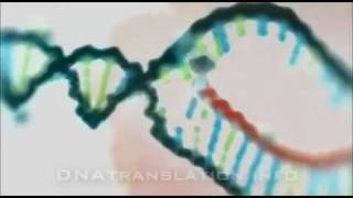 Protein synthesis DNA transcription translation and folding [upl. by Donaldson]