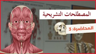 المصطلحات المناطقية Regional Terminology المصطلحات التشريحية  Anatomy Terminology 🧠 [upl. by Los]