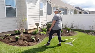 LETS BRING THE BACKYARD GARDENS TO LIFE WITH SUN LOVING PERENNIALS 🌸 [upl. by Name]