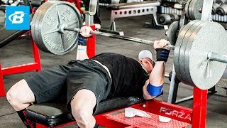 How To Bench Press Layne Nortons Complete Guide [upl. by Cira398]