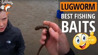 Lugworm Fishing Bait Pumping Lugworms  👉 How To Pump for Lugworm [upl. by Vasilek]