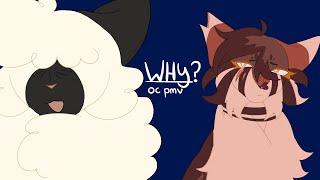 Why  Warrior cats oc pmv [upl. by Nylodnarb]