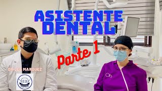 TODO LO QUE DEBES SABER SOBRE SER ASISTENTE DENTAL ft OdontoAcademy [upl. by Dewayne311]