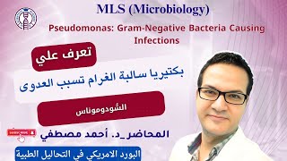 Pseudomonas Gramnegative bacteria causing infections [upl. by Rosamond523]