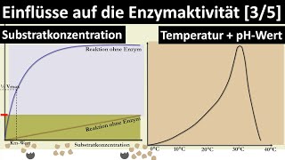 Einflüsse auf die Enzymaktivität Substratkonzentration Temperatur pHWert RGTRegel  35 [upl. by Eliades]