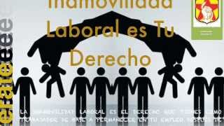 Cortos de Capacitación Laboral SINERGIA [upl. by Georgie377]