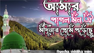 আমার পাগল মন ঐ মদিনার প্রেমে পড়েছেmodinar gojolভাইরাল গজল২০২৪Ayesha siddika mim [upl. by Nesyrb281]