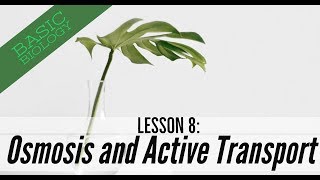 Basic Biology Lesson 8  Osmosis and Active Transport GCSE Science [upl. by Lrae]