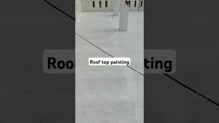 damp proof paint for rooftop water block and durability [upl. by Epolulot]