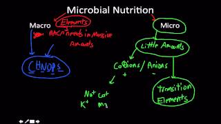 Microbiology Bacterial growth requirements [upl. by Levins]