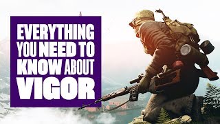 Everything You Need To Know About Vigor [upl. by Frohne688]