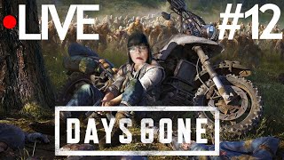 🔴DAYS GONE🏍12  Boozers Leiden LIVE  PS4  Let´s Play  Gameplay  Deutsch [upl. by Yrrad]