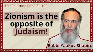 Ep 100  How Zionism stole Jewish Identity with Rabbi Yaakov Shapiro [upl. by Dav]