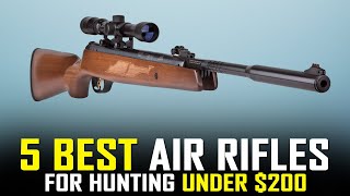 5 Best Break Barrel Air Rifle for Hunting Under 200 2021 [upl. by Roos]