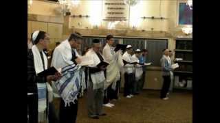 Shlock Rock ft The Maccabeats  Minyan Man [upl. by Nevur586]