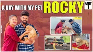 A day with my pet Rocky ❤❤PART 1 saisiri petlovers viral petlovers trending [upl. by Greene]