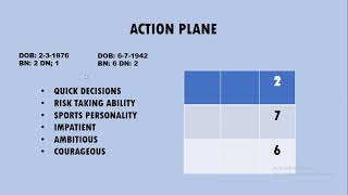 NUMEROLOGY  ACTION PLANE [upl. by Ocinemod]