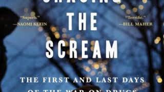 Johann Hari quotChasing The Screamquot [upl. by Artenek]