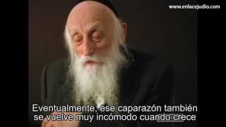 Rabbi Dr Abraham Twerski habla sobre la Adversidad [upl. by Garzon]