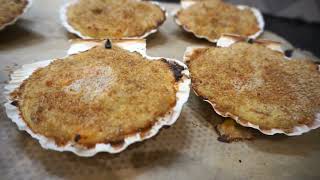 Coquilles de barbes de SaintJacques à la bretonne  Recette AntiGaspi [upl. by Lorrimor]