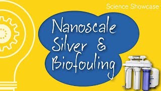 How silver nanoparticles can help reduce biofouling in water filters [upl. by Haliek]