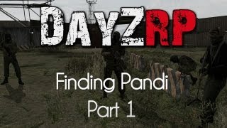 ARMA 2 DayZRP Mod — Finding Pandi — Part 1 — New In Town [upl. by Bunder146]