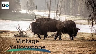 Vintage Yellowstone The Worlds First National Park  Full Vintage Documentary [upl. by Sissy]