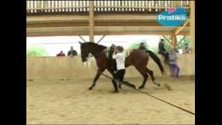 Voltige  Comment faire une entrée au galop  sport equitation [upl. by Norry]