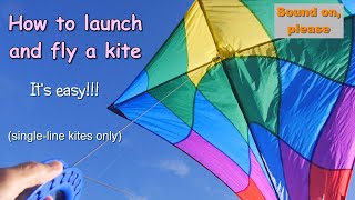 How to launch and fly a kite  a guide for new kitefliers [upl. by Loyce]