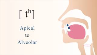 tʰ  unvoiced aspirated apical alveolar stop [upl. by Wylie]