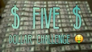 THE FIVE DOLLAR CHALLENGE  result [upl. by Ravilob]