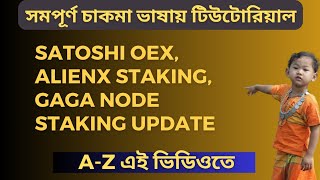 Satoshi oex withdraw update Alienx staking Gaga node staking update [upl. by Vaden]