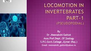 Locomotion in Invertebrates Part 1 [upl. by Nnahaid2]