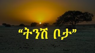 Ethiopia  Amharic poem Nebiy Mekonnen ነብይ መኮንን  Tinish Bota ትንሽ ቦታ [upl. by Koorb]