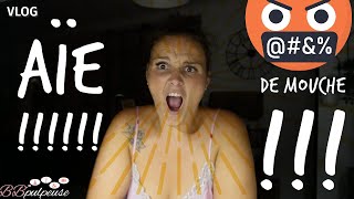 VLOG  AÏE  😱 🤬🤬 de Mouche  JPP Sauvezmoi  Et Doudou attire les moustiques [upl. by Sral]