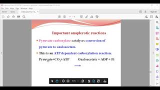 Krebs Cycle  Citric Acid Cycle  TCA Cycle  Tricarboxylic Acid Cycle [upl. by Yraek]