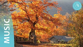 See the Miracle of Your Soul – Autumn Photos and Liberating Music by Bruno Gröning Friends [upl. by Oirottiv]