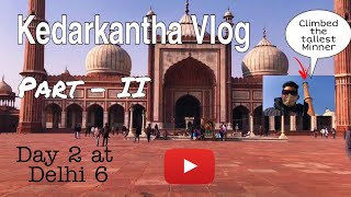 CLIMBED THE TALLEST MINARET OF JAMA MASJID  KEDARKANTHA VOG PART II  DAY 2 AT DELHI  DELHI 6 [upl. by Aynot]