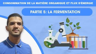 Consommation de la matière organique et flux dénergie  Partie 5 La Fermentation [upl. by Ailisec]