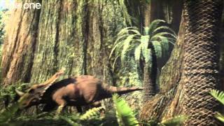 Sharks vs Dinosaurs  Walking with Dinosaurs  BBC Earth [upl. by Bourke]