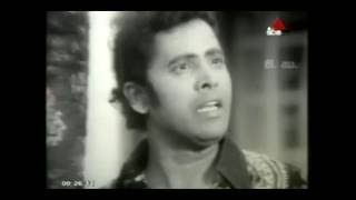 Sanasum Susuman Paweela T M Jayarathne Film Nadaayo Music Premasiri Khemadasa [upl. by Anipsed365]