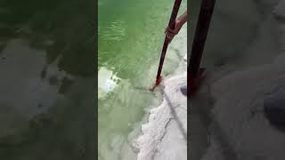 Natural crystallized lake salt mining process [upl. by Oned]