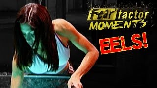 Fear Factor Moments  Electric Eels [upl. by Yesor]