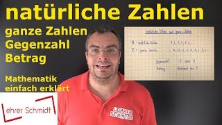 natürliche Zahlen amp ganze Zahlen  Mathematik  einfach erklärt  Lehrerschmidt [upl. by Kucik]